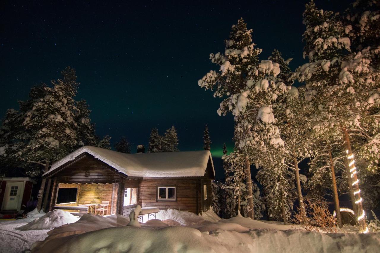 °AURORA CAMP KURRAVAARA (Sweden) - From US$ 113 | BOOKED