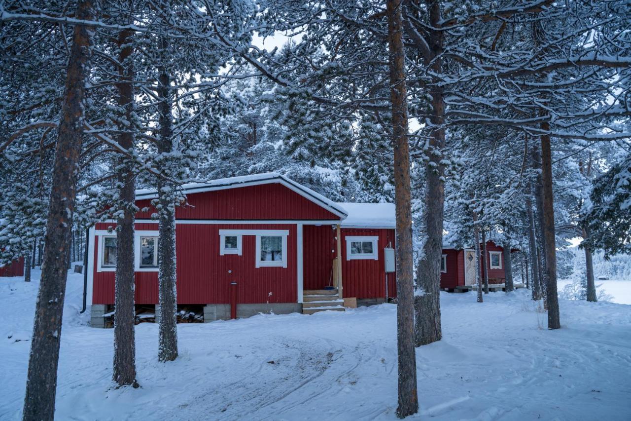 °AURORA CAMP KURRAVAARA (Sweden) - From US$ 113 | BOOKED